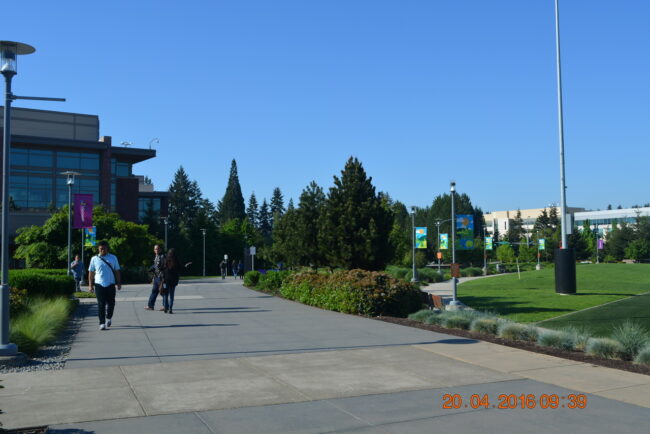 160420-microsoft-seattle-048_resize