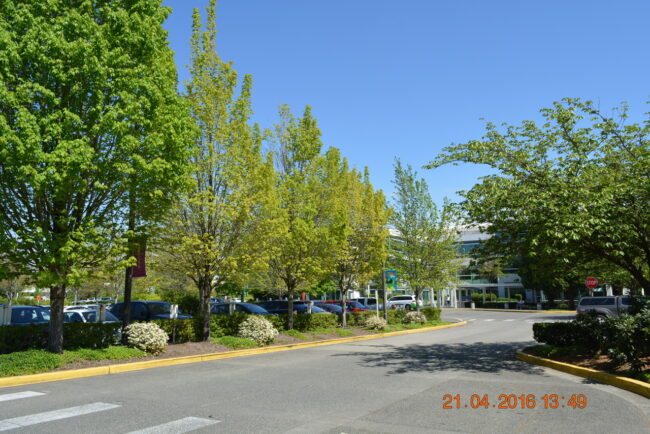 160421-microsoft-seattle-023_resize