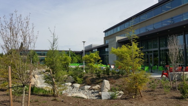 160421-microsoft-seattle-ssn5-007_resize