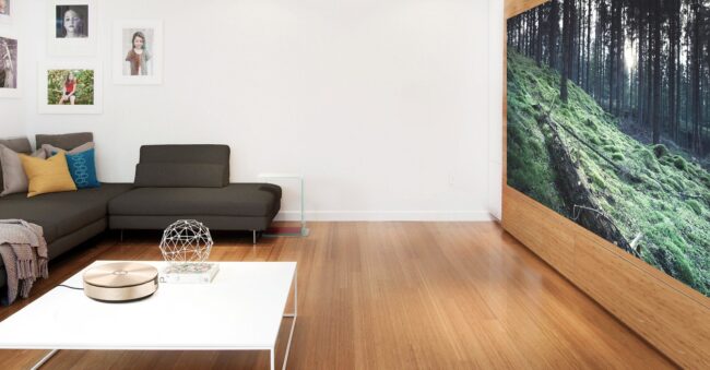 JmGO View projector-04