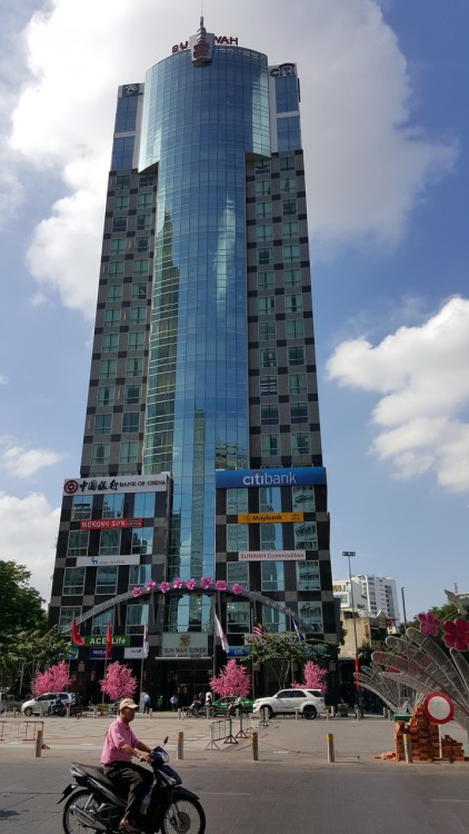 160128-phodibo-nguyenhue-saigon-3_resize