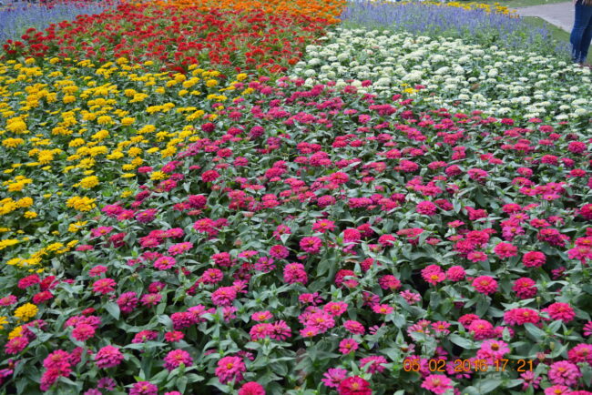 160205-tetbinhthan-hoihoaxuan-014_resize