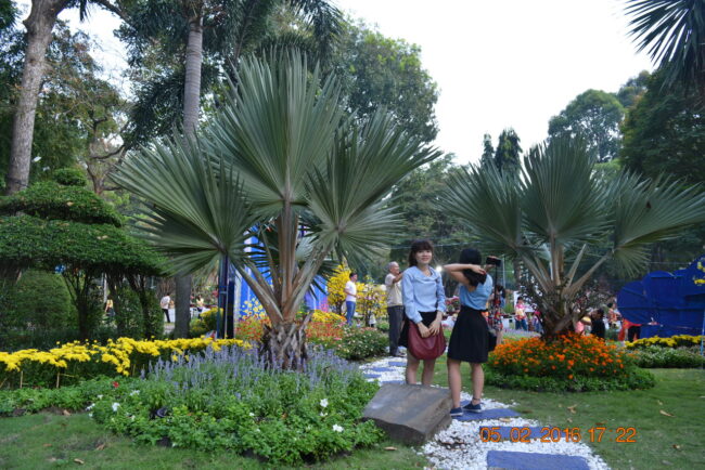 160205-tetbinhthan-hoihoaxuan-015_resize