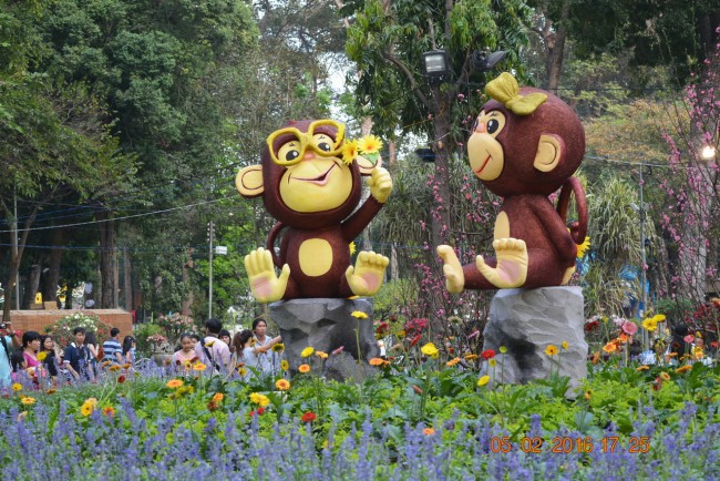 160205-tetbinhthan-hoihoaxuan-019_resize