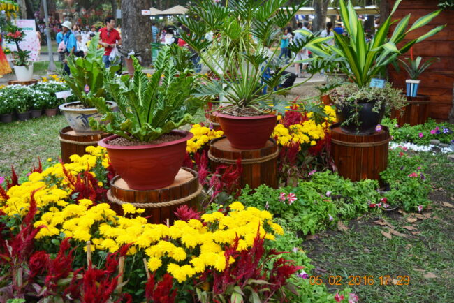 160205-tetbinhthan-hoihoaxuan-025_resize