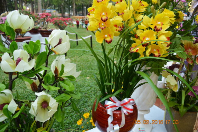 160205-tetbinhthan-hoihoaxuan-038_resize