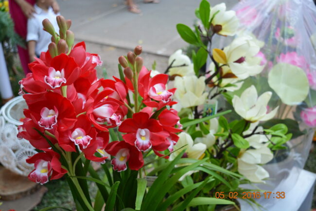 160205-tetbinhthan-hoihoaxuan-039_resize