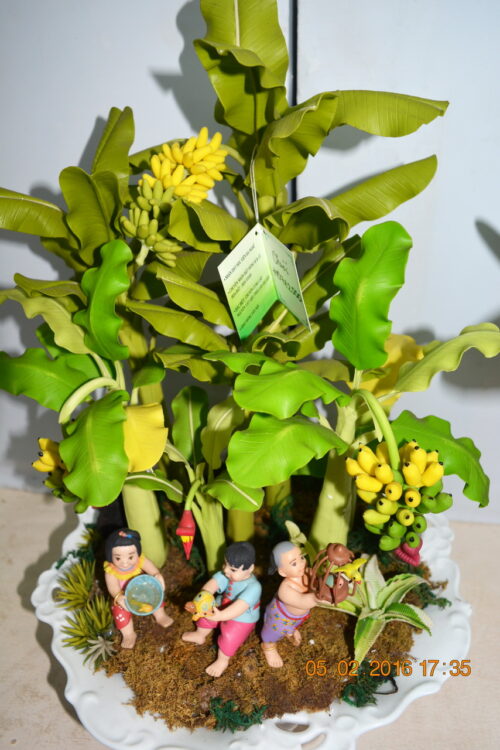 160205-tetbinhthan-hoihoaxuan-048_resize