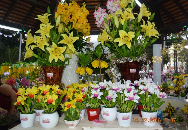 160205-tetbinhthan-hoihoaxuan-049_resize