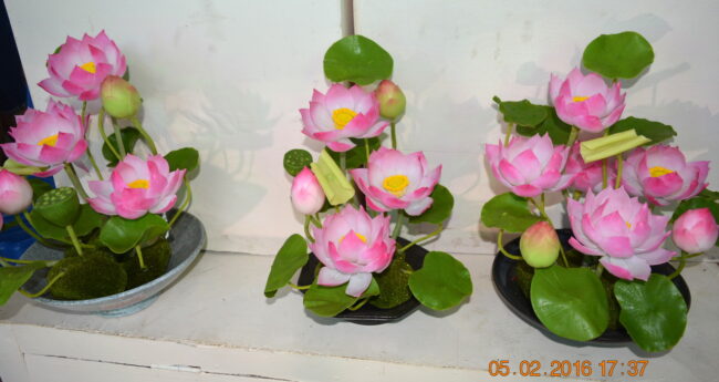 160205-tetbinhthan-hoihoaxuan-050_resize