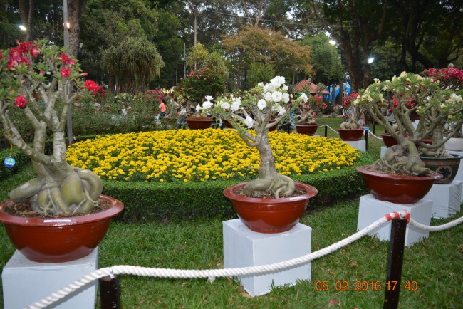 160205-tetbinhthan-hoihoaxuan-054_resize