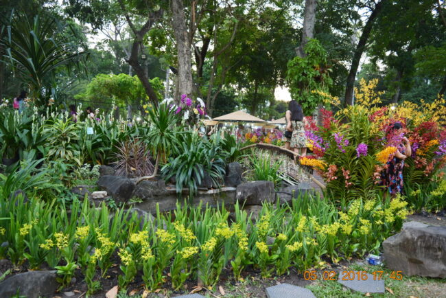 160205-tetbinhthan-hoihoaxuan-063_resize