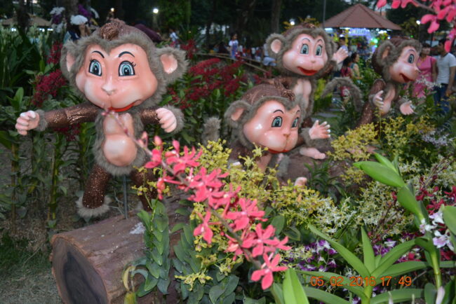 160205-tetbinhthan-hoihoaxuan-069_resize