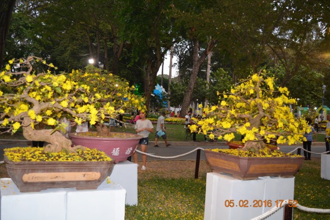 160205-tetbinhthan-hoihoaxuan-072_resize