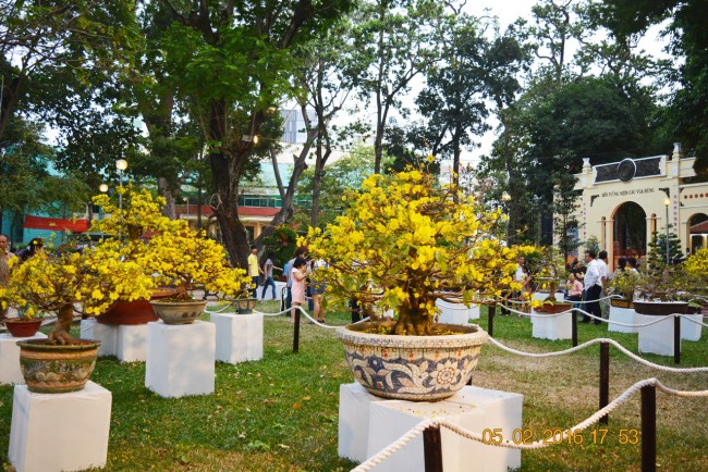 160205-tetbinhthan-hoihoaxuan-074_resize