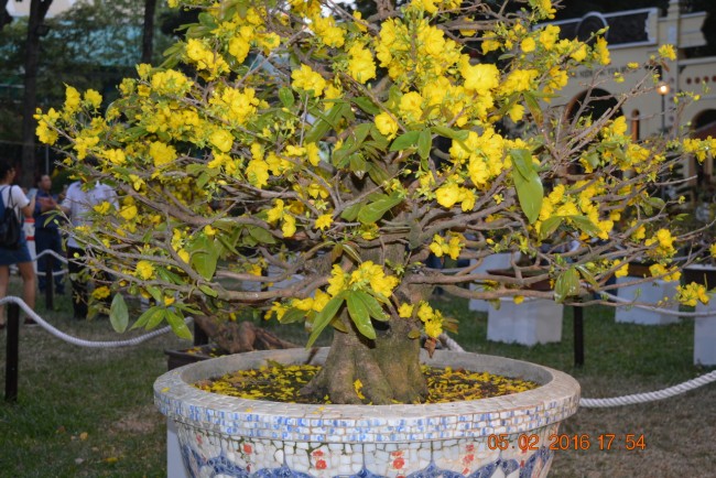 160205-tetbinhthan-hoihoaxuan-075_resize