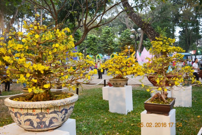 160205-tetbinhthan-hoihoaxuan-076_resize