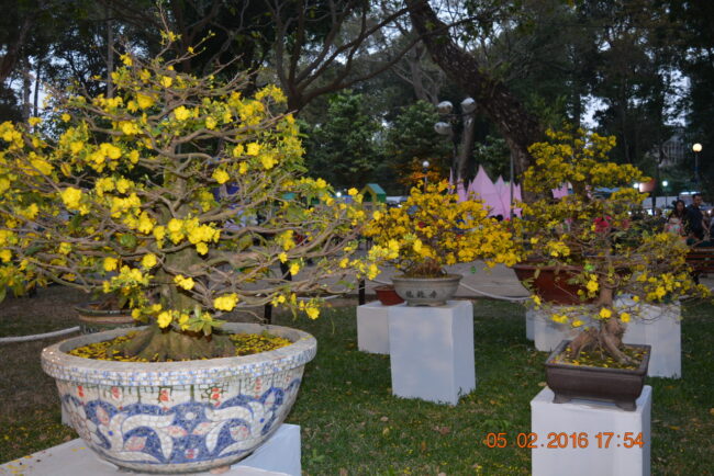 160205-tetbinhthan-hoihoaxuan-077_resize