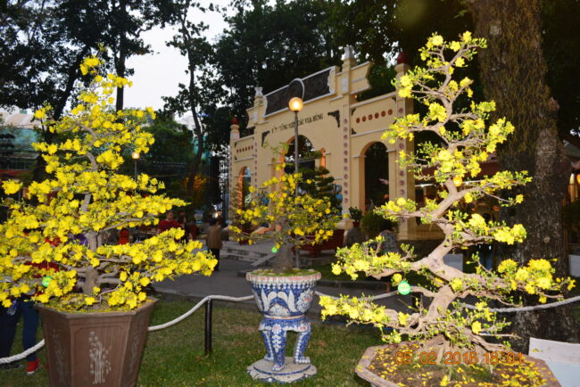 160205-tetbinhthan-hoihoaxuan-090_resize