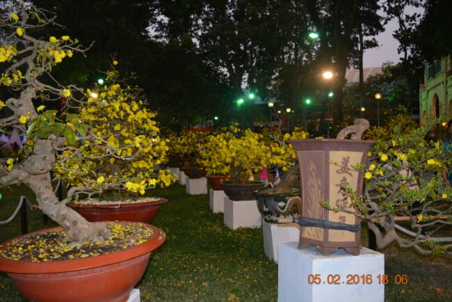 160205-tetbinhthan-hoihoaxuan-102_resize