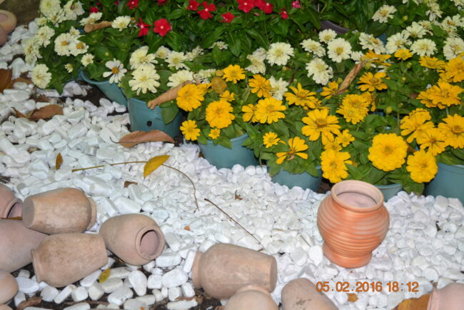 160205-tetbinhthan-hoihoaxuan-108_resize