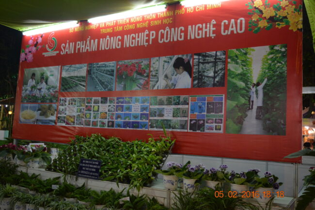 160205-tetbinhthan-hoihoaxuan-114_resize