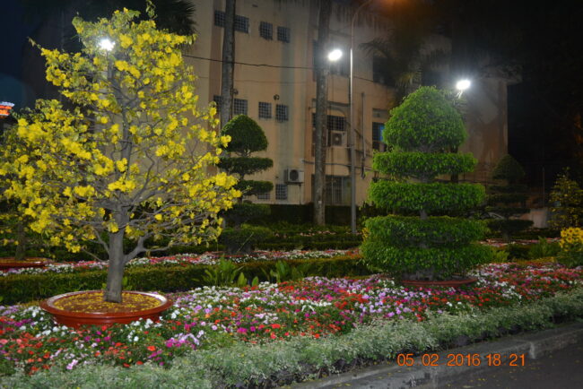 160205-tetbinhthan-hoihoaxuan-121_resize