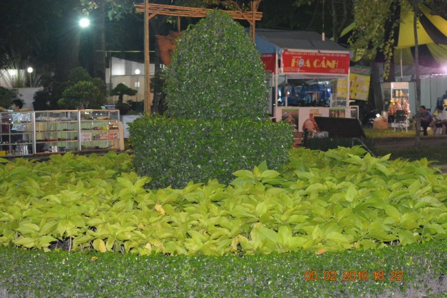 160205-tetbinhthan-hoihoaxuan-125_resize