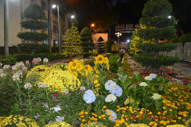 160205-tetbinhthan-hoihoaxuan-126_resize