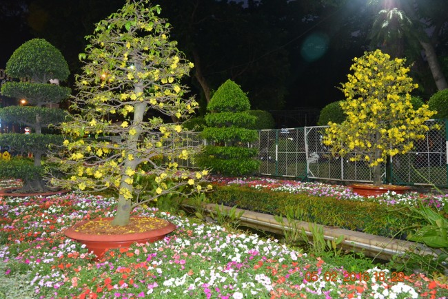 160205-tetbinhthan-hoihoaxuan-128_resize