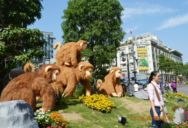 160211-tetbinhthan-mungbon-duonghoa-042_resize