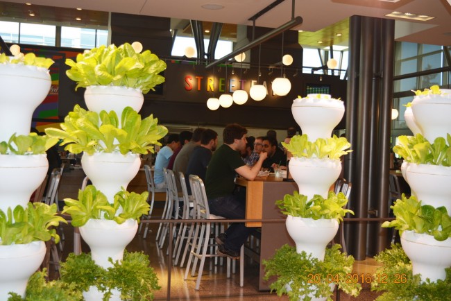 160420-microsoft-seattle-087_resize