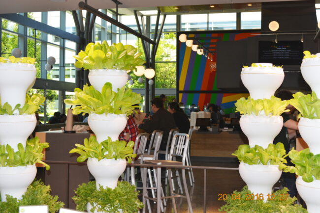 160420-microsoft-seattle-088_resize