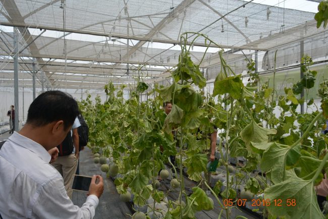 160705-smart-agri-18_resize