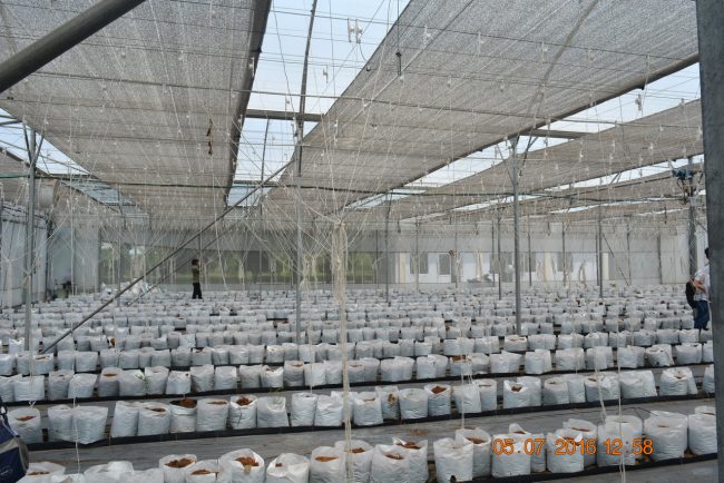 160705-smart-agri-19_resize