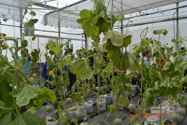 160705-smart-agri-20_resize