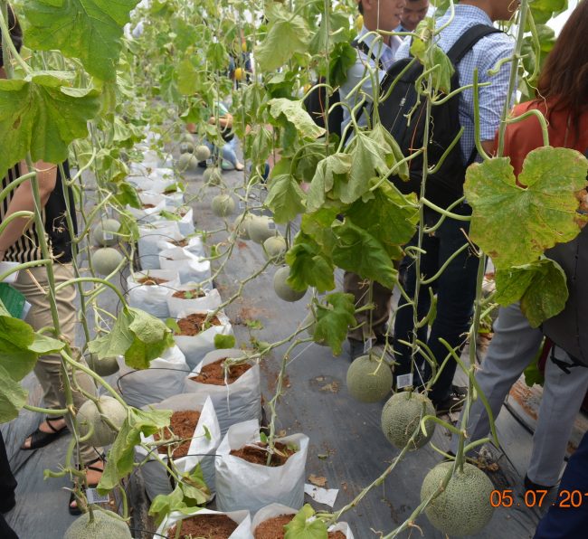 160705-smart-agri-21_resize