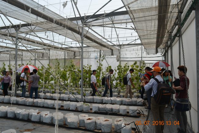 160705-smart-agri-35_resize