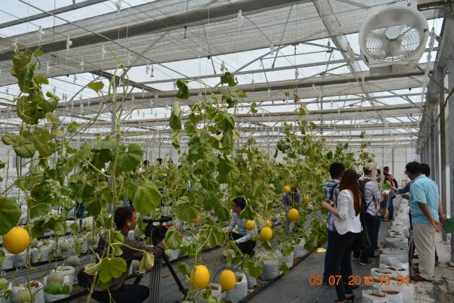 160705-smart-agri-37_resize