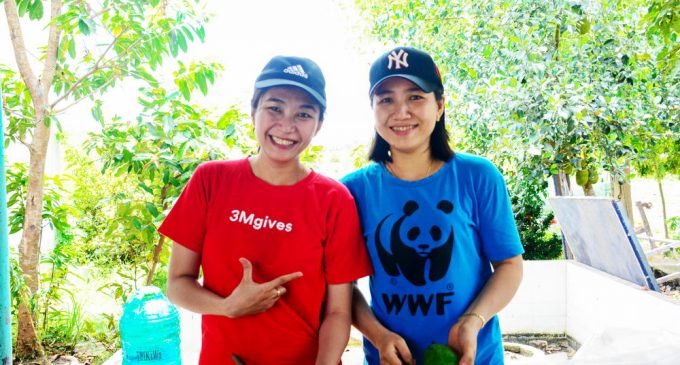 3M cùng WWF Việt Nam trồng cây xanh tại Khu Bảo tồn Đất ngập nước Láng Sen