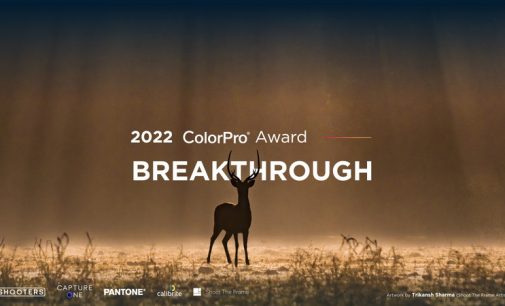 ViewSonic tổ chức cuộc thi ảnh toàn cầu ColorPro Award 2022