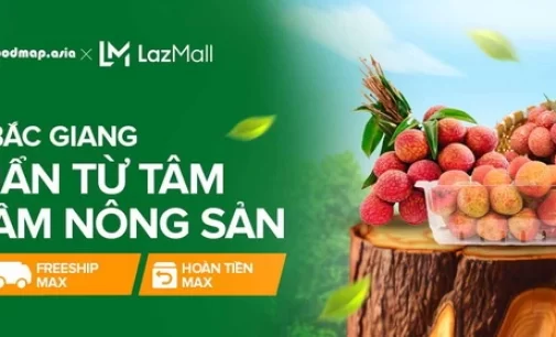 Lazada Việt Nam mở bán online vải thiều Bắc Giang